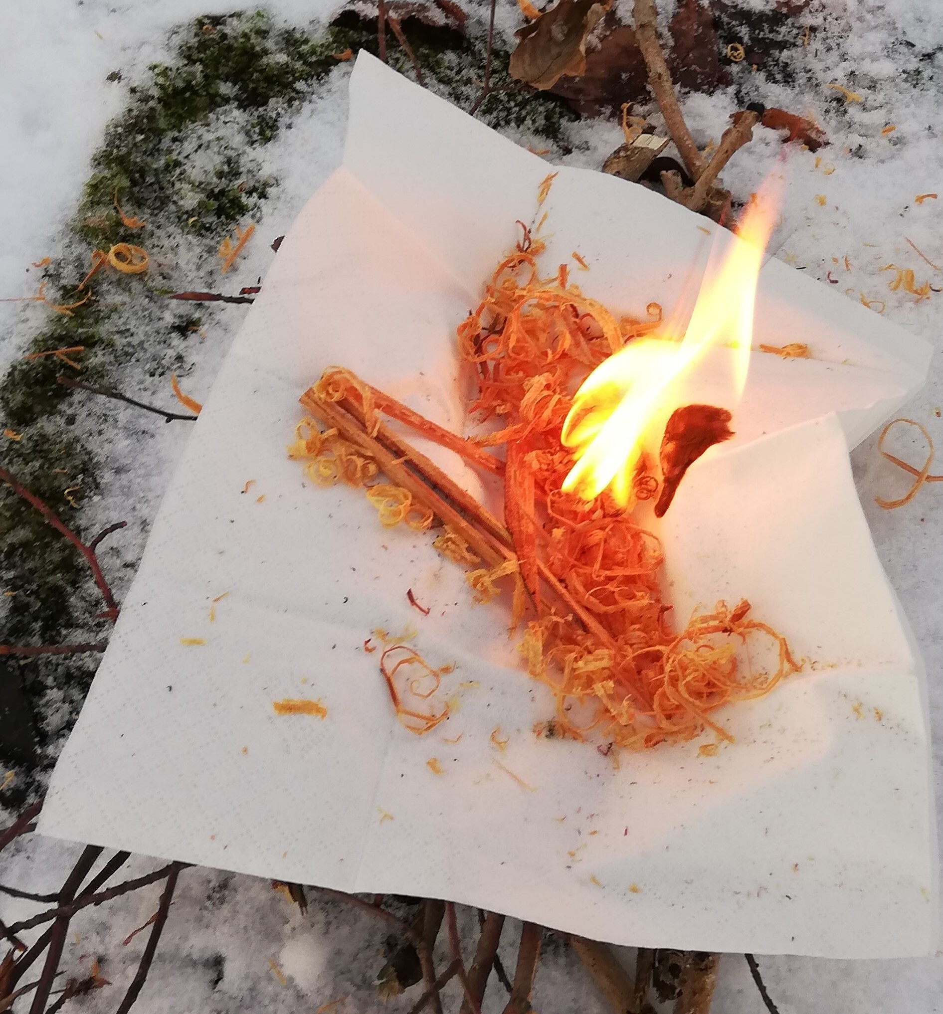 Die Winterflamme